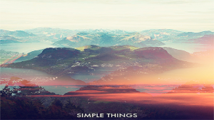 simple_things
