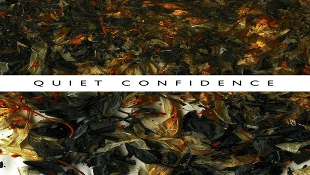 ninetails-quietconfidenceartwork