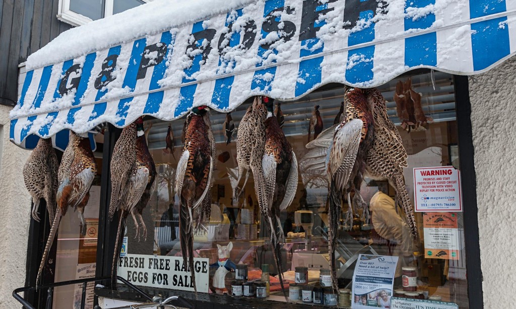 Village butcher's window display with pheasant hanging outside.
