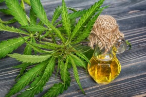 Cannabis leaves and oil in glass bottle on wooden background